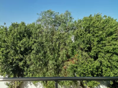 Photo 21 de Sabri traum hamammet 9