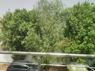 Photo 22 de Sabri traum hamammet 9