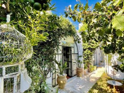 Photo 26 de bungalow de charme en pleine nature
