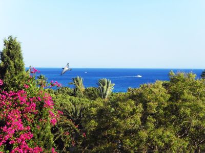 Photo 5 de Coquette appartement à Hammamet : vue Mer/Jardin