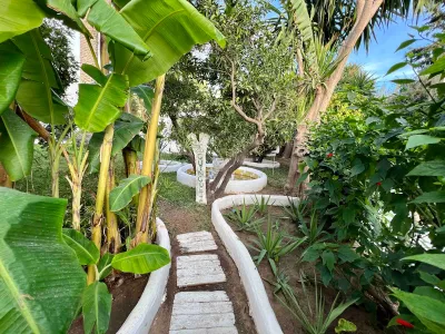 Photo 19 de Joli bungalow indépendant avec un grand jardin