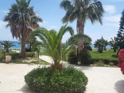Photo 26 de Magnifique Appartement Bord De Mer à Hammamet