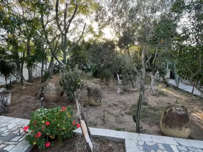 Photo 33 de Maison Fethi: Calme, Confort et au Rez de Chaussée