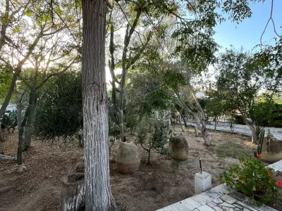 Photo 34 de Maison Fethi: Calme, Confort et au Rez de Chaussée