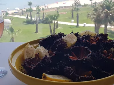 Photo 12 de Pieds dans l eau, centre ville hammamet- nord