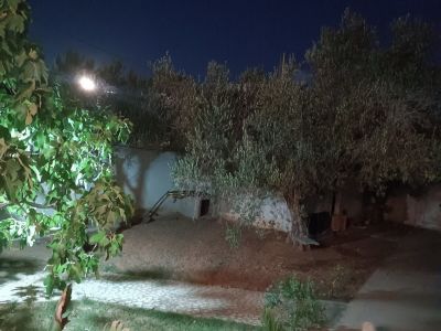 Photo 10 de Studio avec jardin partagé