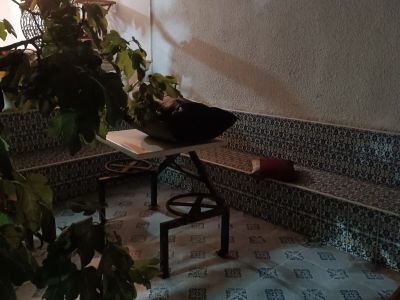 Photo 11 de Studio avec jardin partagé