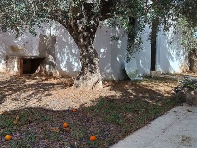 Photo 9 de Studio avec jardin partagé