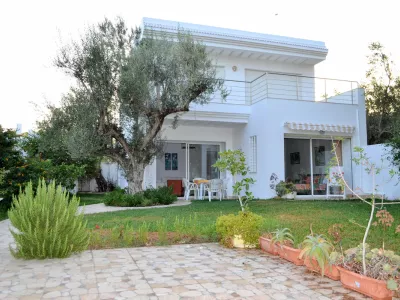 Photo 16 de Villa les deux oliviers