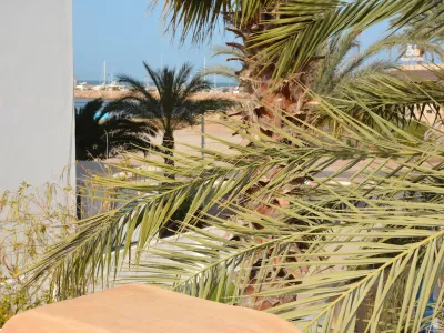 Photo 42 de Dar El Mina Reve à Djerba