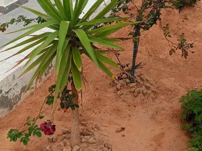 Photo 41 de Résidence Inès Appart de luxe  S+2 avec balcon