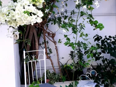 Photo 10 de Petite place des artistes