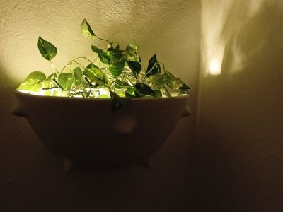 Photo 26 de Petite place des artistes