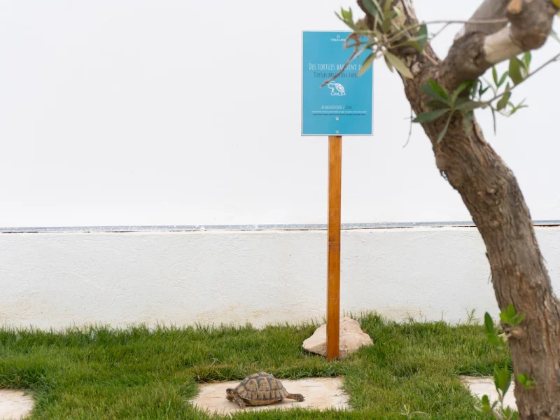Villa de luxe, plage à pied. - Photo 15