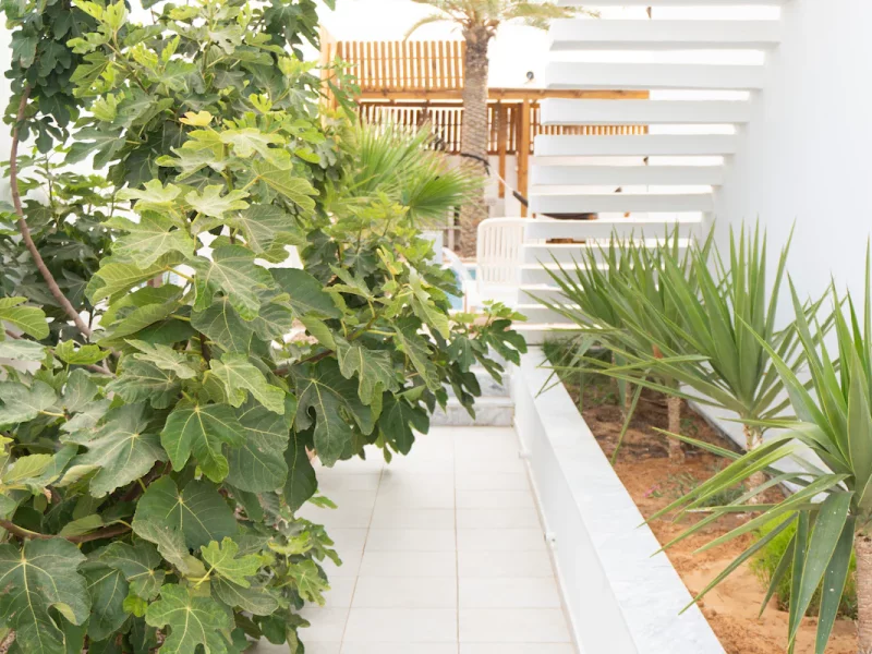 Villa de luxe, plage à pied. - Photo 16