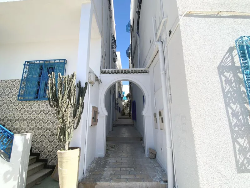 Expérience authentique Sidi Bou 10 min de la plage - Photo 22