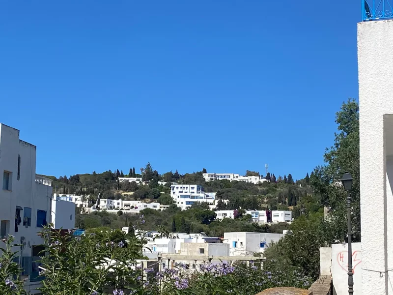 Expérience authentique Sidi Bou 10 min de la plage - Photo 25