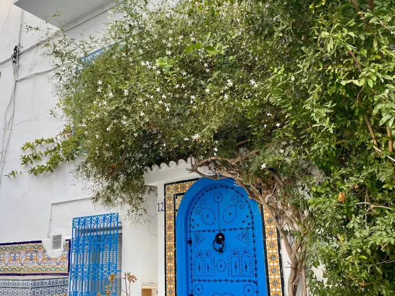 Le Nid de Sidi Bou Said - Photo 10