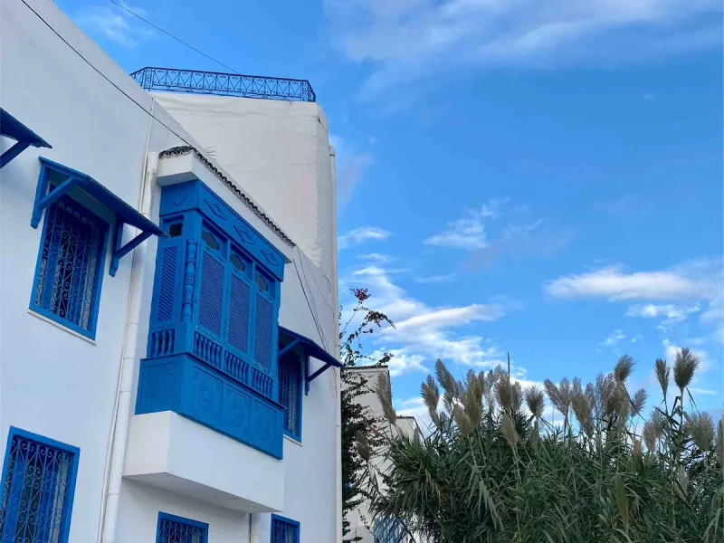 Le Nid de Sidi Bou Said - Photo 11