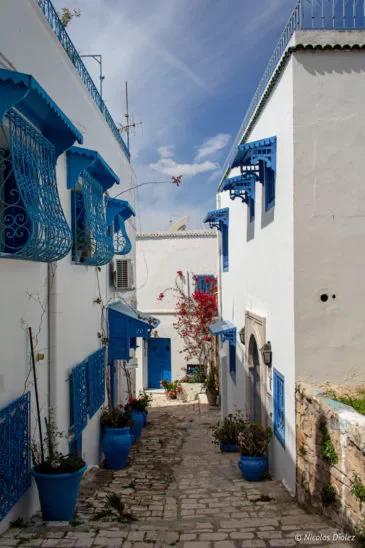 Le Nid de Sidi Bou Said - Photo 15