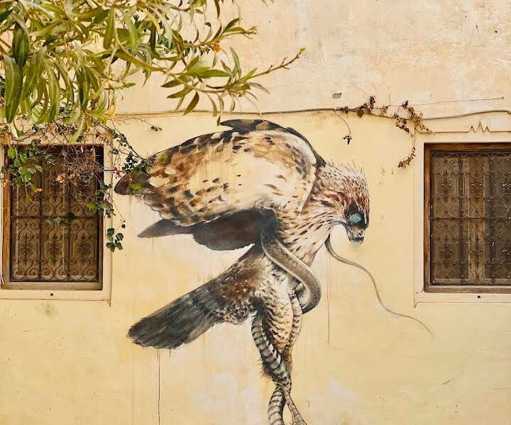 Dar Chedly : Vue Panoramique & Street Art - Photo 24