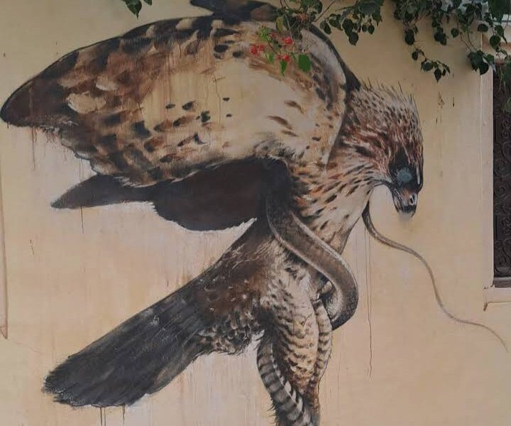 Dar Chedly : Vue Panoramique & Street Art - Photo 47
