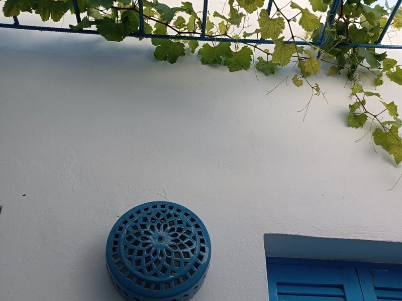 Maison Dar Taher-Djerba - Photo 25