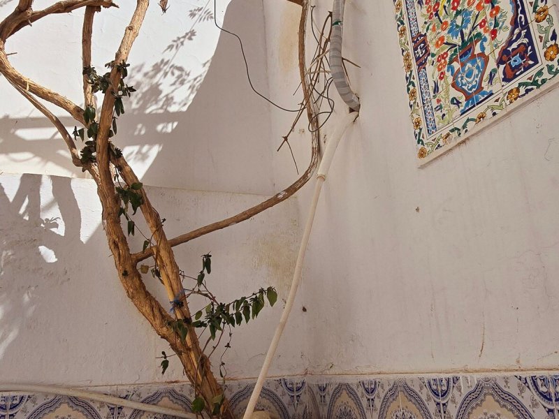 Maison Dar Taher-Djerba - Photo 27