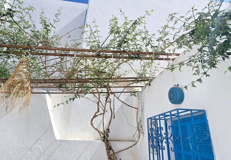 Maison Dar Taher-Djerba - Photo 33