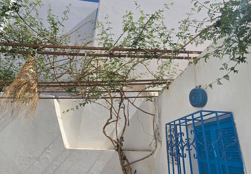 Maison Dar Taher-Djerba - Photo 38