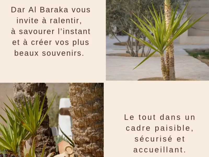 Résidence Dar Al Baraka - appartement Fatma - Photo 18
