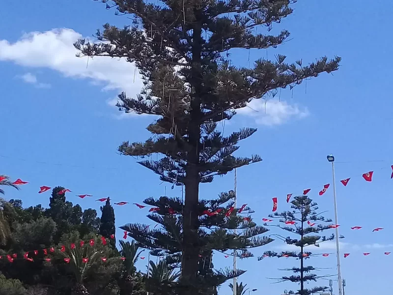 Résidence Agoramis Hammamet nord Superbe app S+2 - Photo 20