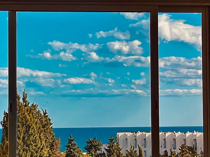 Vue sur Mer - Photo 31