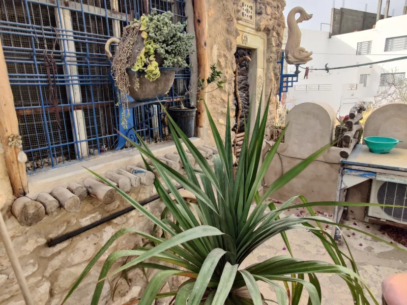 dar camel - Photo 18