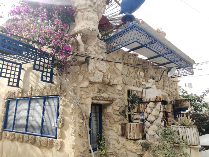 dar camel - Photo 7