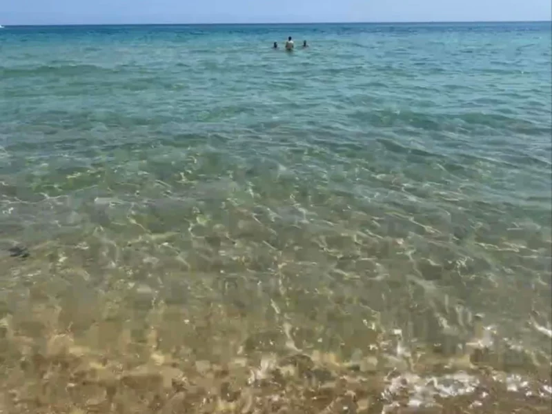 Grand Appartement s+1 (5 min de la plage) - Photo 15