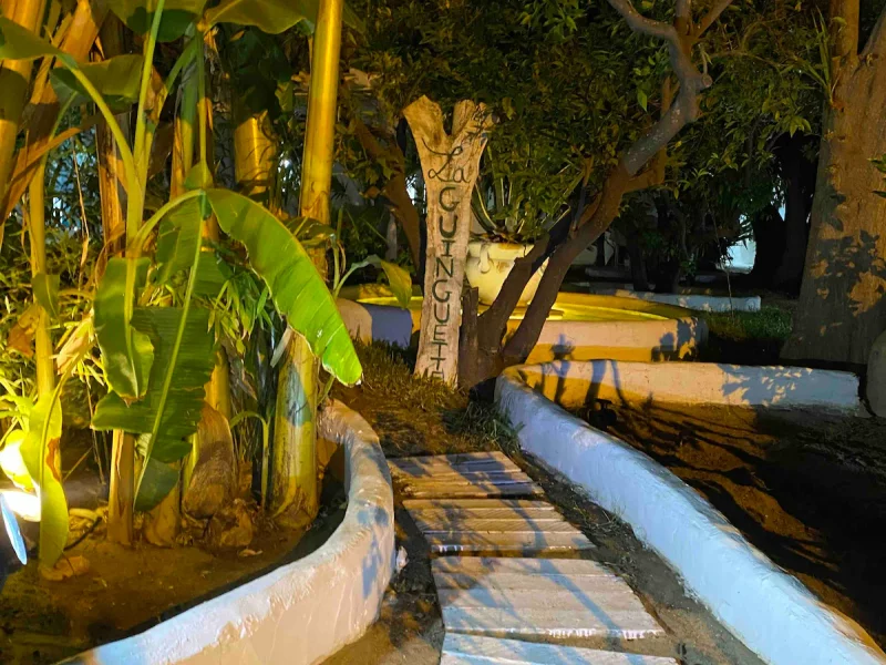 Joli bungalow indépendant avec un grand jardin - Photo 24