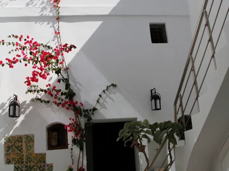 Maison atypique de la médina proche de la plage - Photo 64