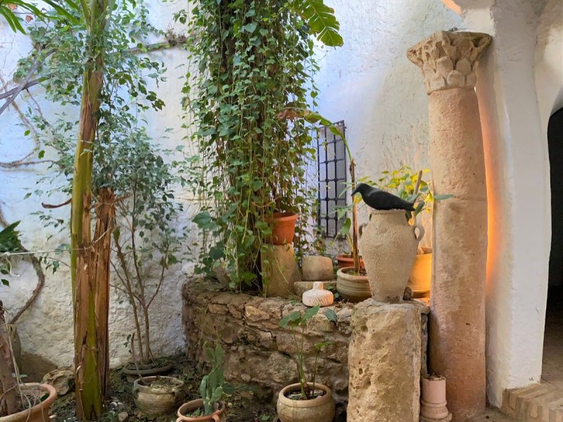 Maison Les Cyprès (DarEsarwel) - Photo 18