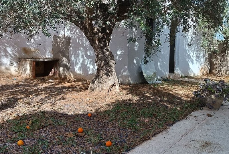 Studio avec jardin partagé - Photo 9