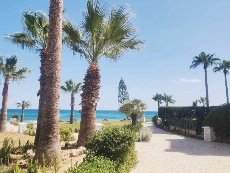 Superbe appartement en bord de mer/vue à Hammamet - Photo 57