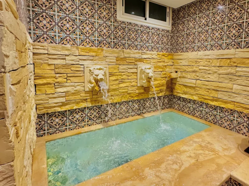 Villa Marwen, piscine et hammam turc - Photo 23