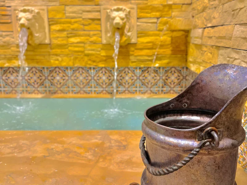 Villa Marwen, piscine et hammam turc - Photo 29