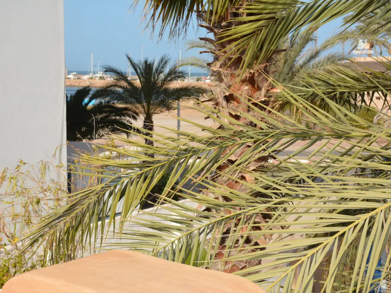 Dar El Mina Reve à Djerba - Photo 42