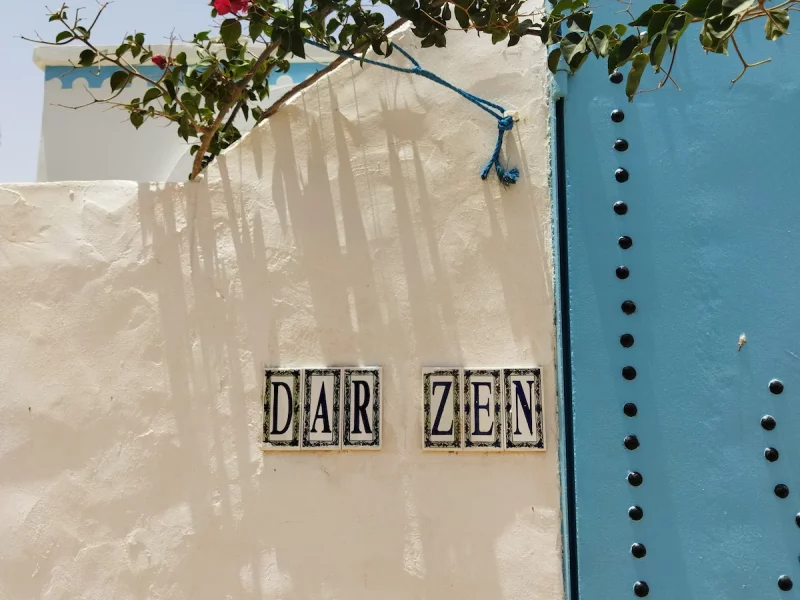 Dar Zen - Photo 29