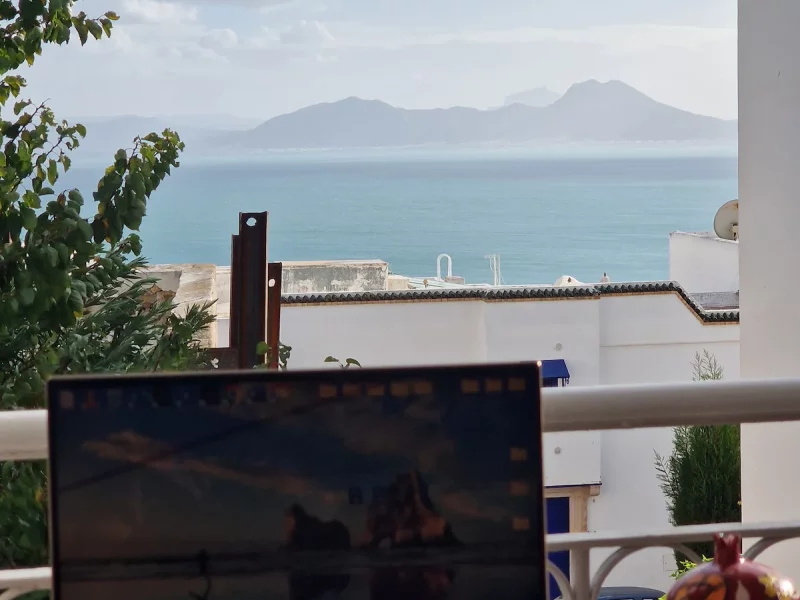 La symphonie bleue Vue imprenable sur la mer - Photo 29