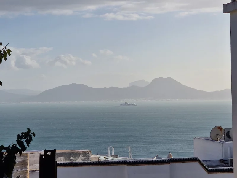 La symphonie bleue Vue imprenable sur la mer - Photo 40