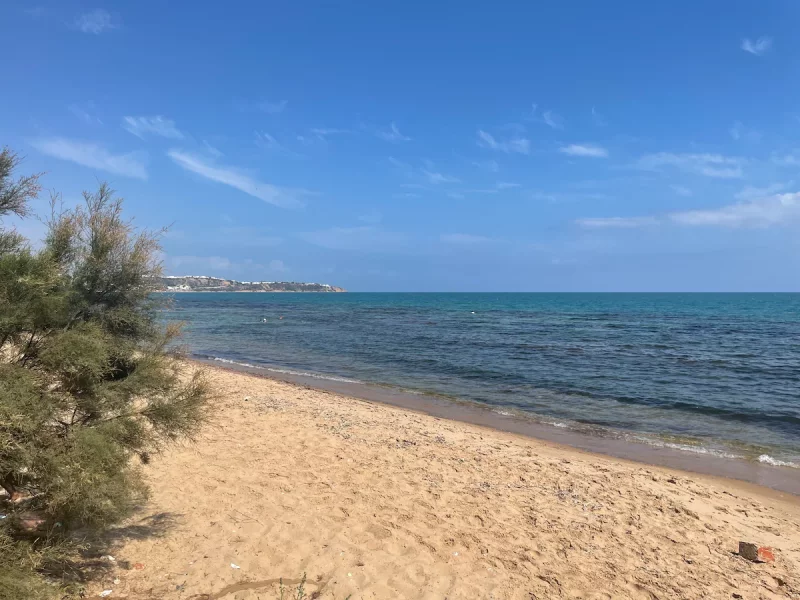 En bord de mer - Photo 24