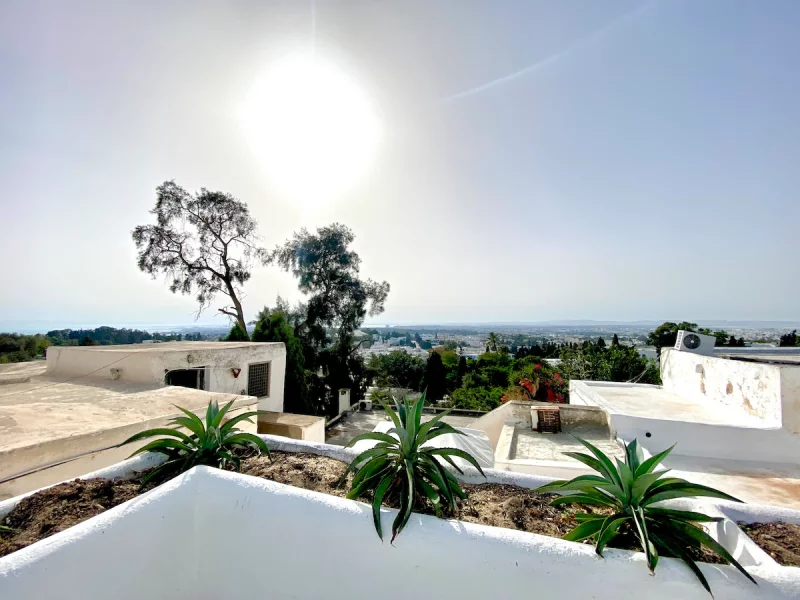 Évasion authentique Sidi Bou Saïd - Vue incroyable - Photo 21