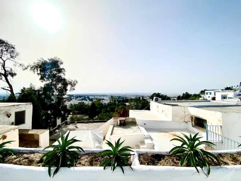 Évasion authentique Sidi Bou Saïd - Vue incroyable - Photo 23